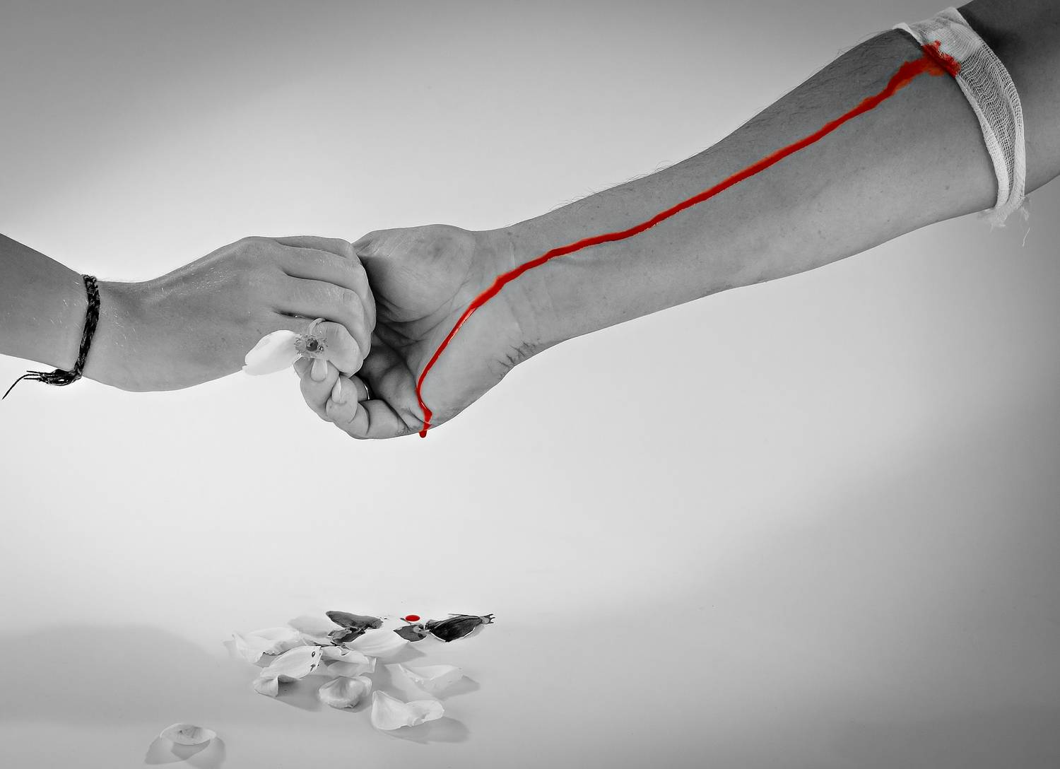 Veranstaltung &copy; Pixabay