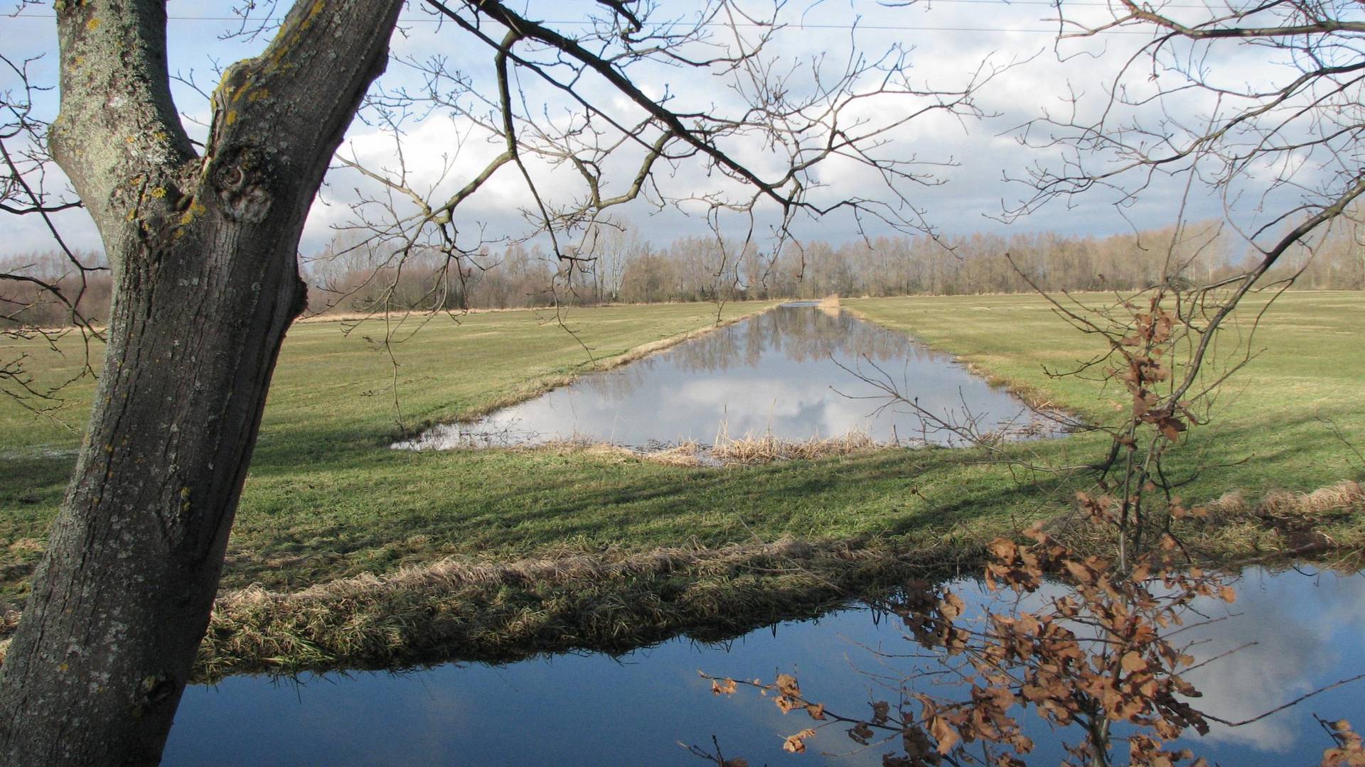 landschaft buchhorst