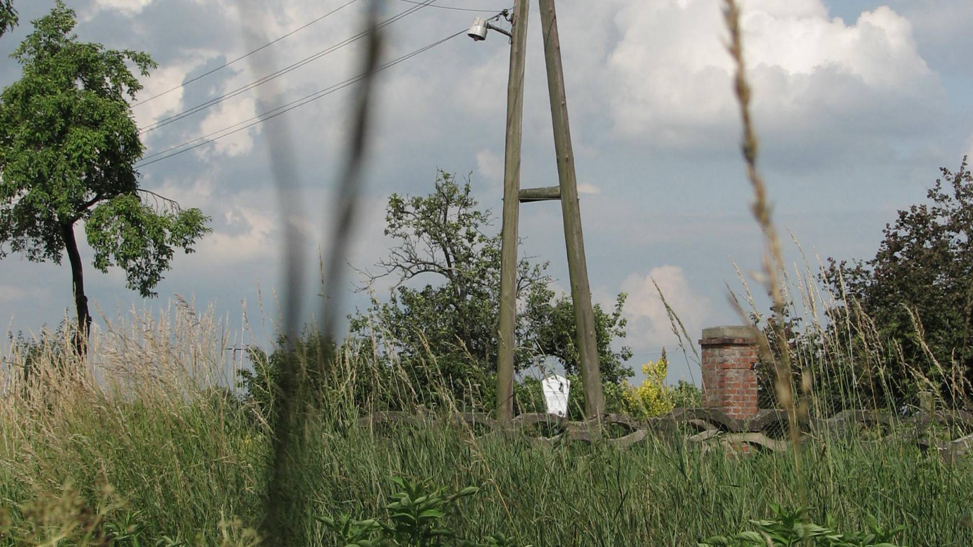 storch buchhorst