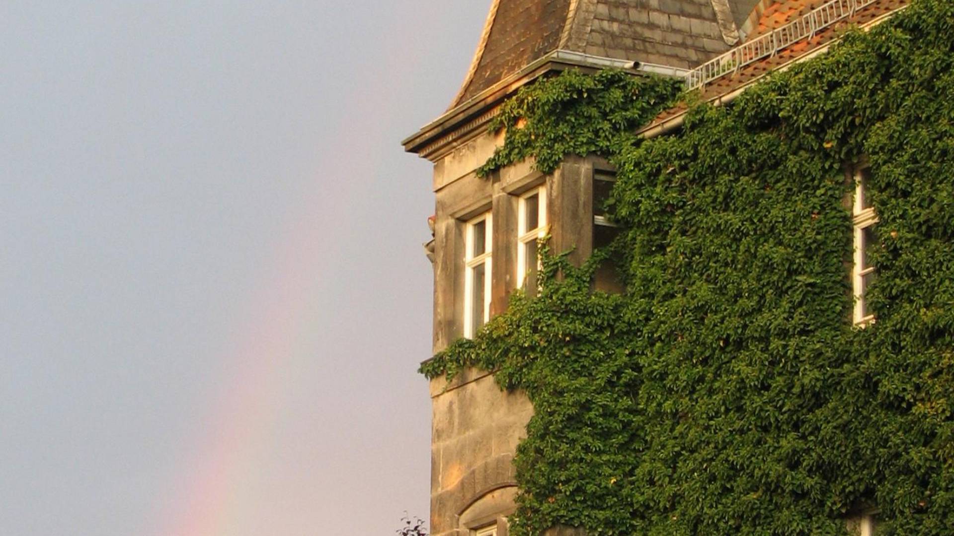 sumpfburg regenbogen oebisfelde