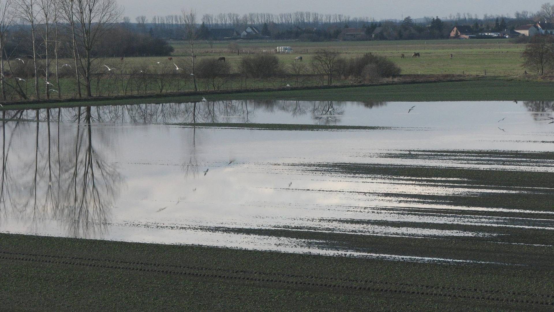 landschaft wassensdorf