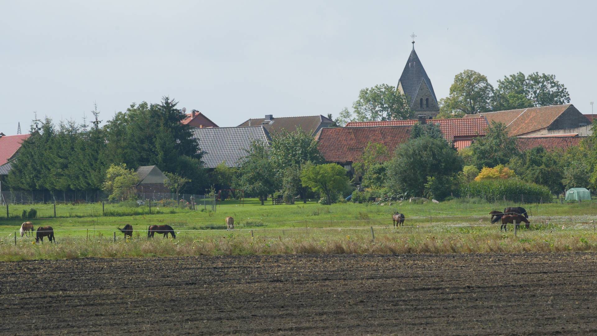 landschaft boesdorf