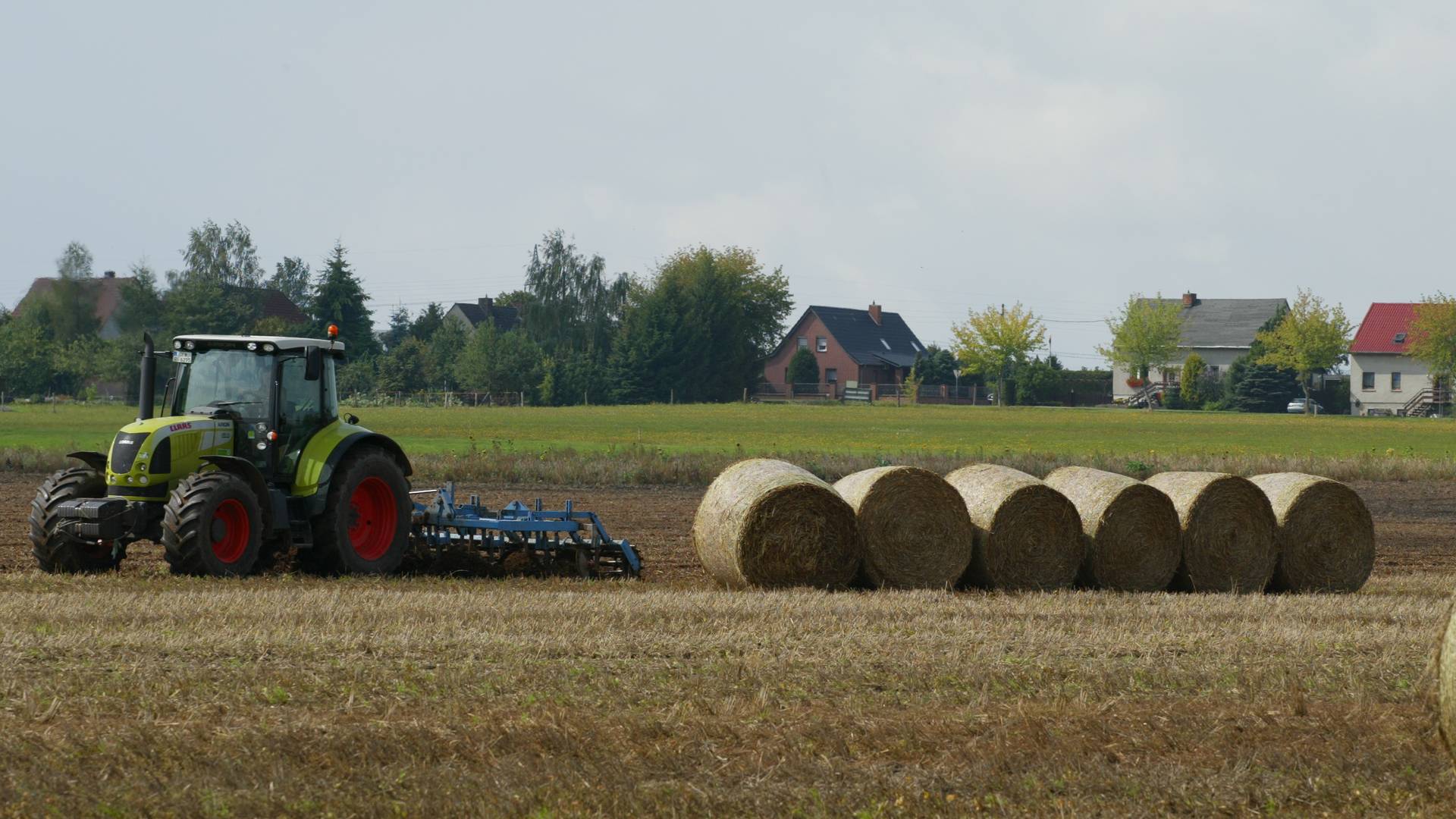 landwirtschaft boesdorf © Uta Bruns