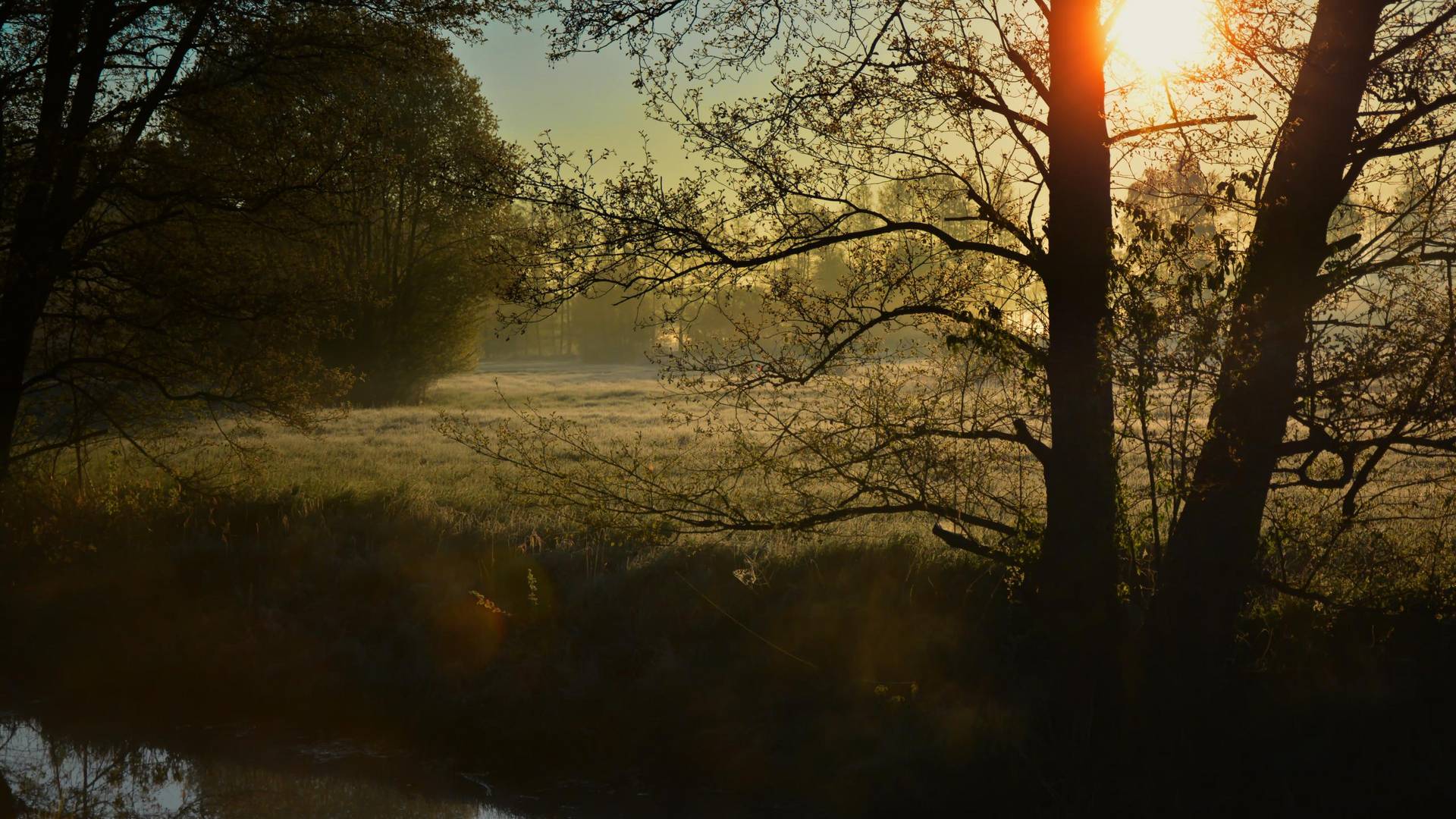 Morgendämmerung Norddrömling