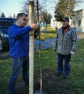 2020 12 19 wie baumpflanzaktion rätzlingen03